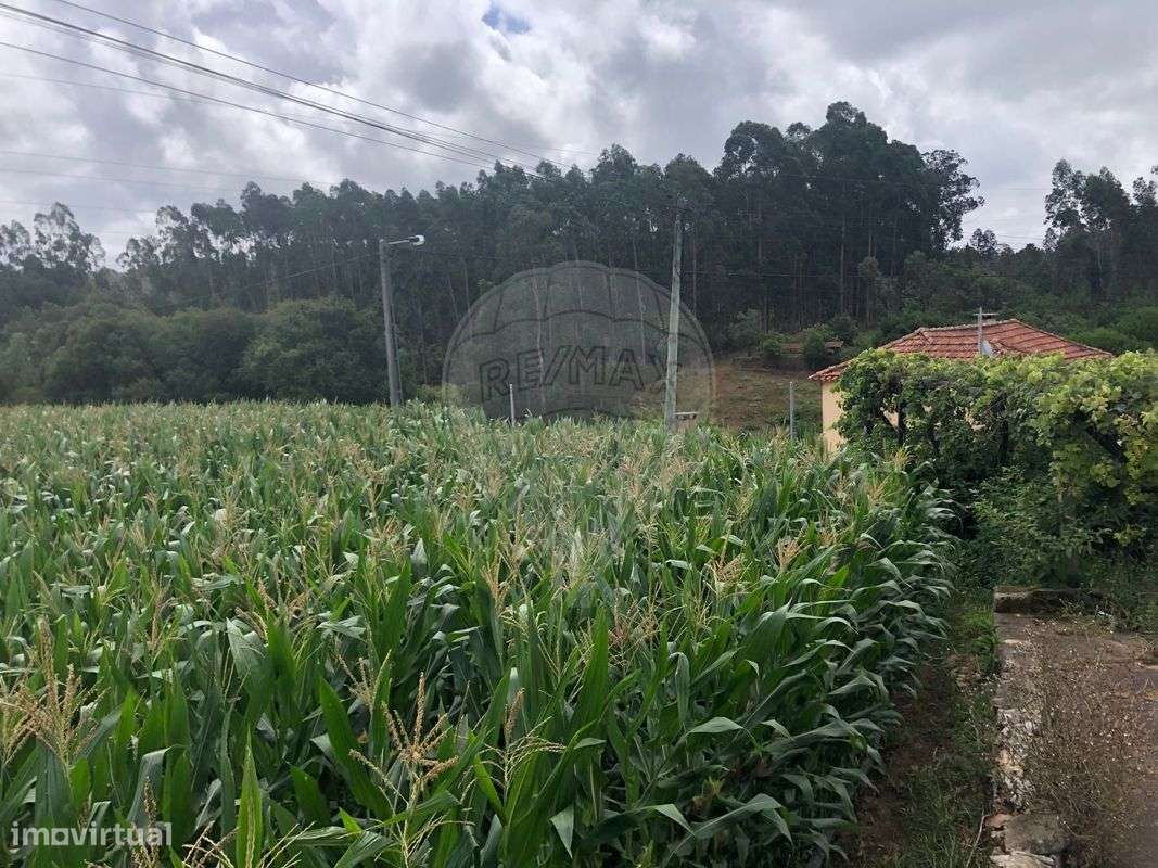 Terreno  para venda - Grande imagem: 4/6