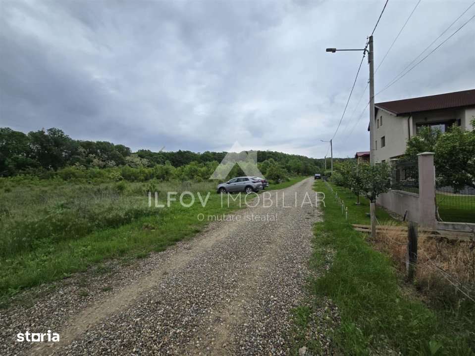 Teren intravilan Balotesti 9782mp 96ml deschidere langa padure - Imagine principală: 4/7