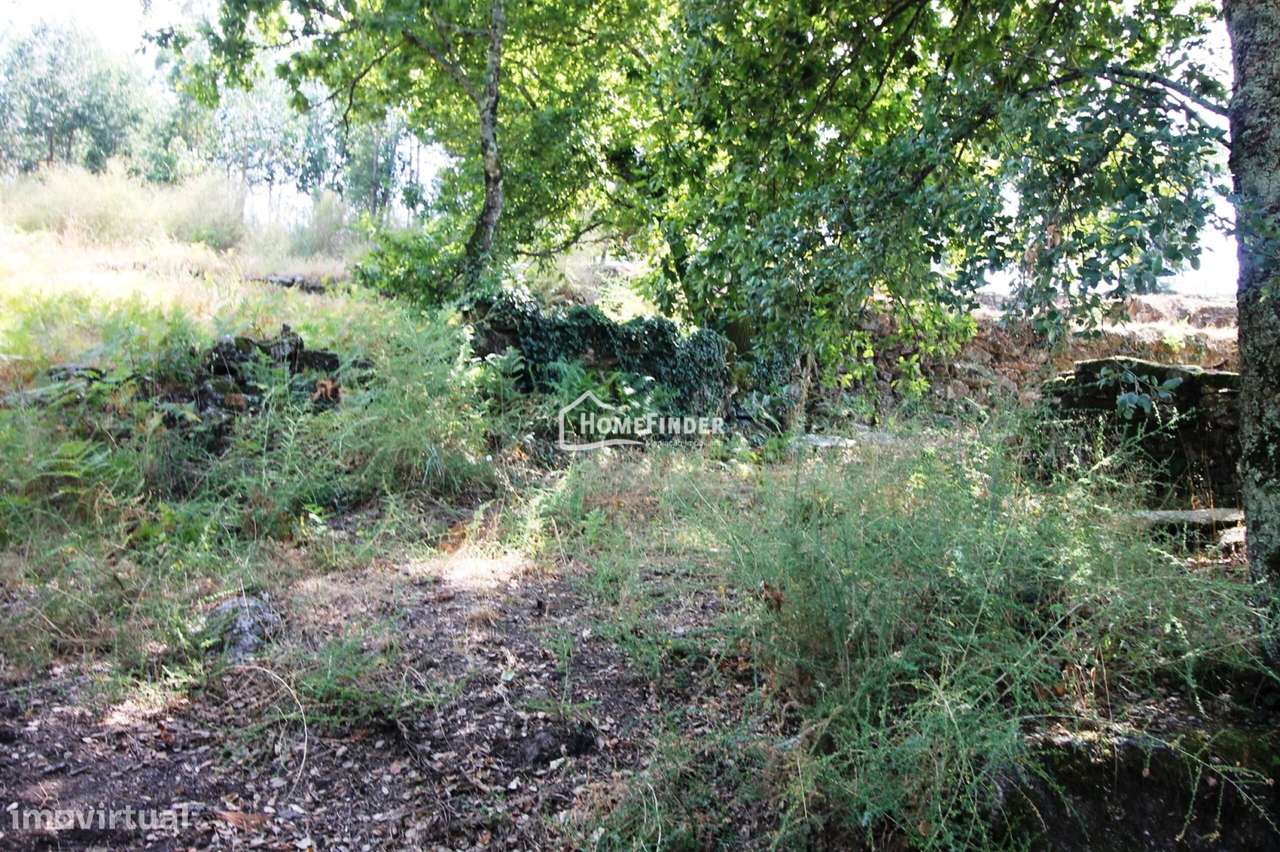 Moradia para Recuperar com Amplo Terreno e Potencial Infinito em Frian-23