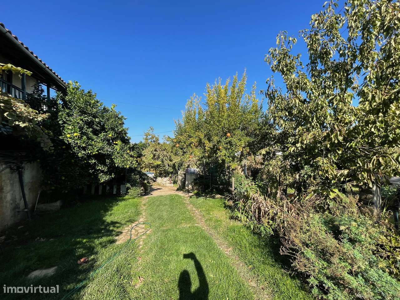 QUINTA EM MURÇA | CASA SENHORIAL | OPORTUNIDADE INVESTIMENTO-39