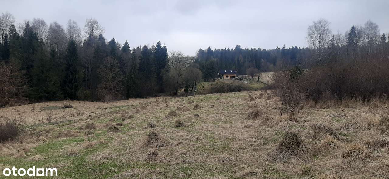 Działka w studium pod mieszkaniówkę i usługi, 21.5 ar Rabka Zdrój - Pełny obrazek: 4/7