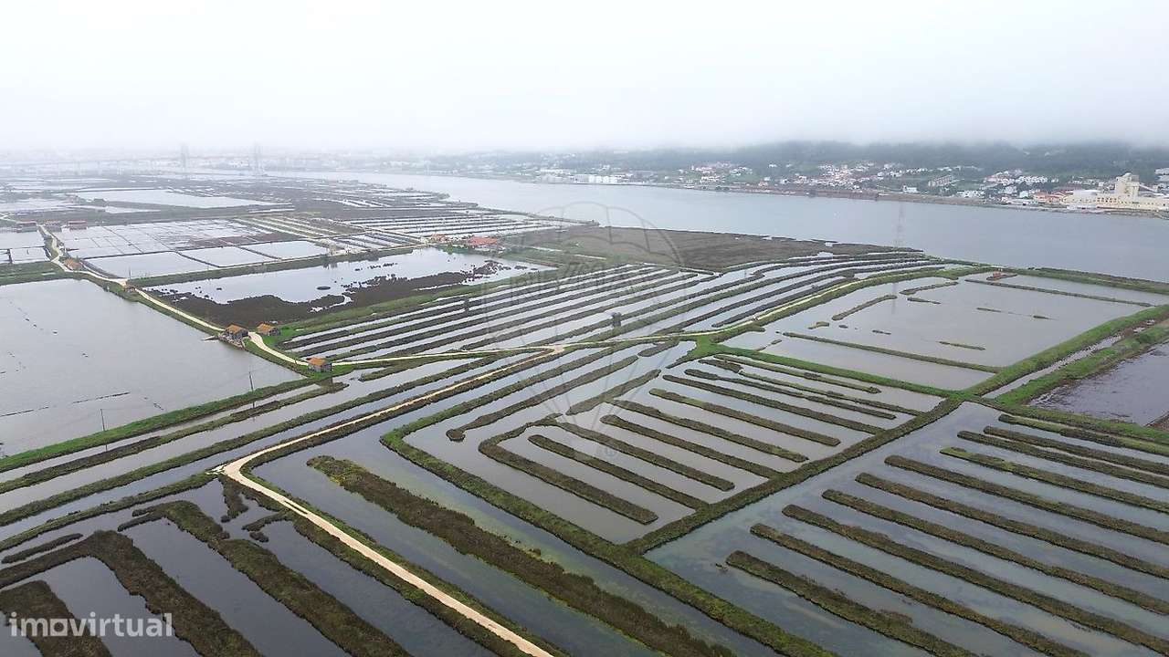 Investimentos  para venda - Grande imagem: 4/6