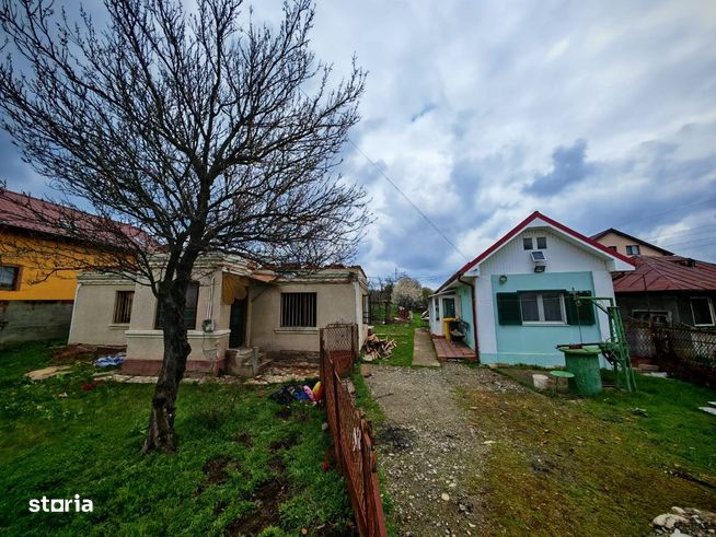 Proprietate cu doua constructii si 2795mp de teren, Pielesti.-3