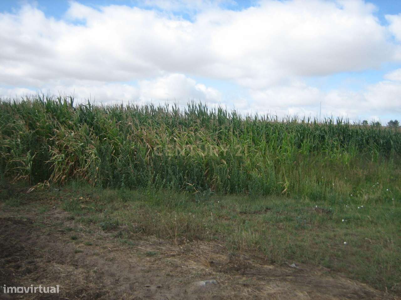 Terreno agrícola com 76.270m2 - Grande imagem: 2/13