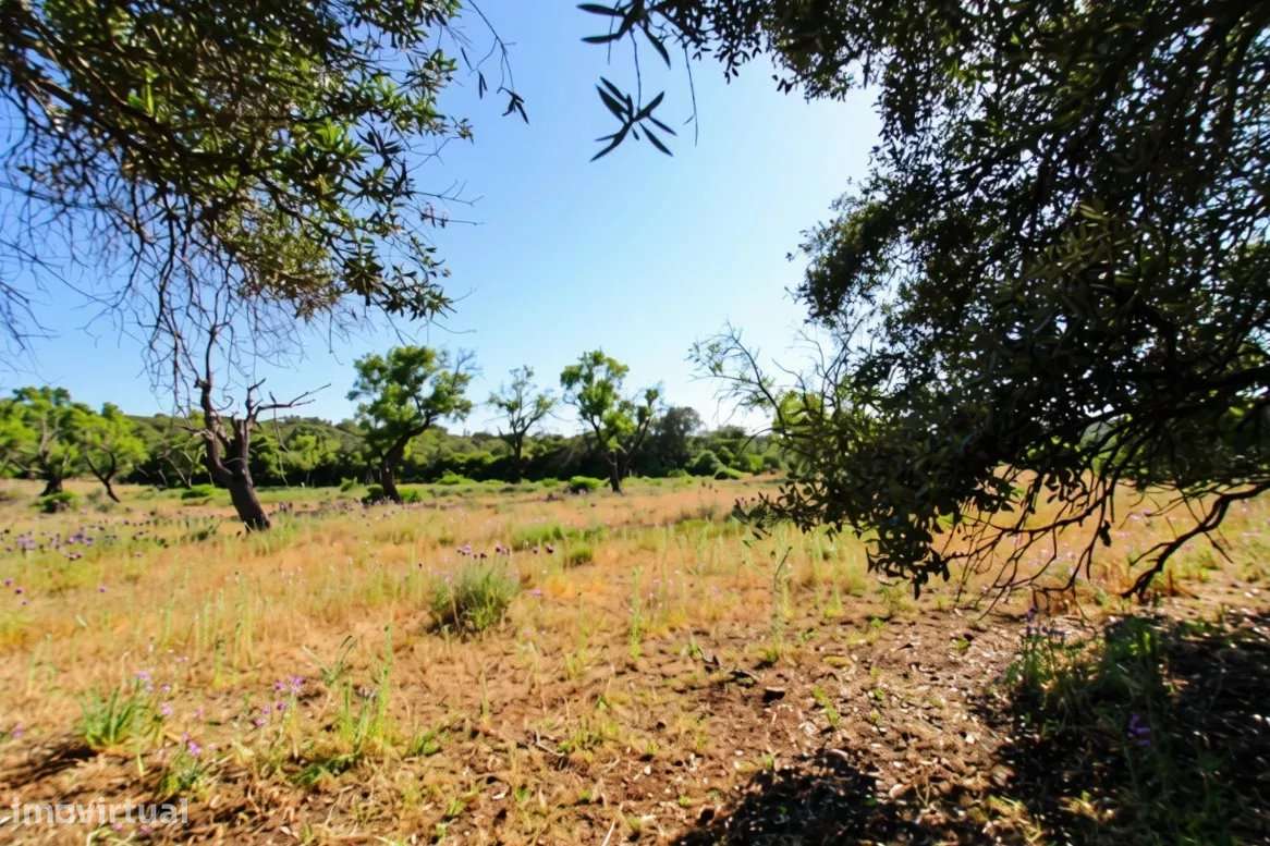 Dois terrenos rústicos planos, vendidos em conjunto, com 7120 m2-0
