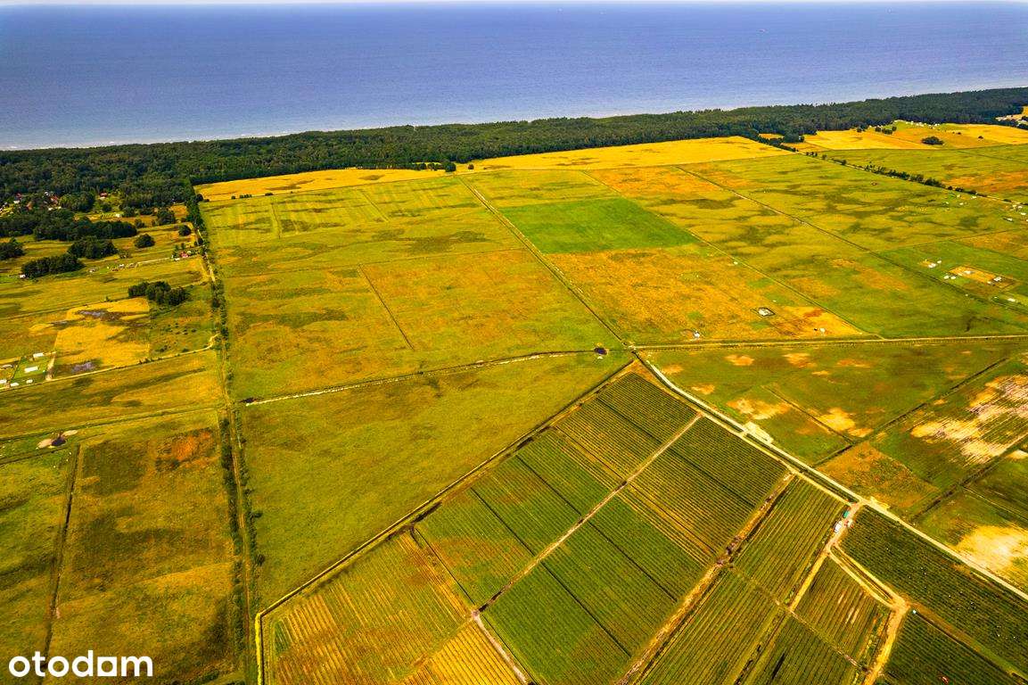 Kompleks działek tuż przy morzu - Pełny obrazek: 4/11