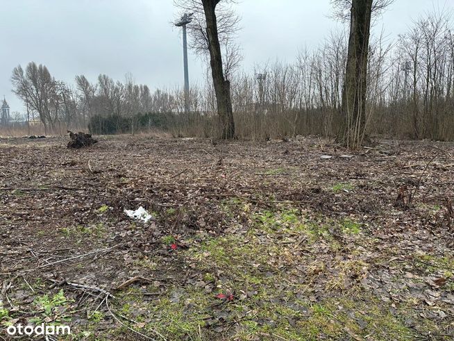 Siemianowice Śl. - duża działka pod usługi !