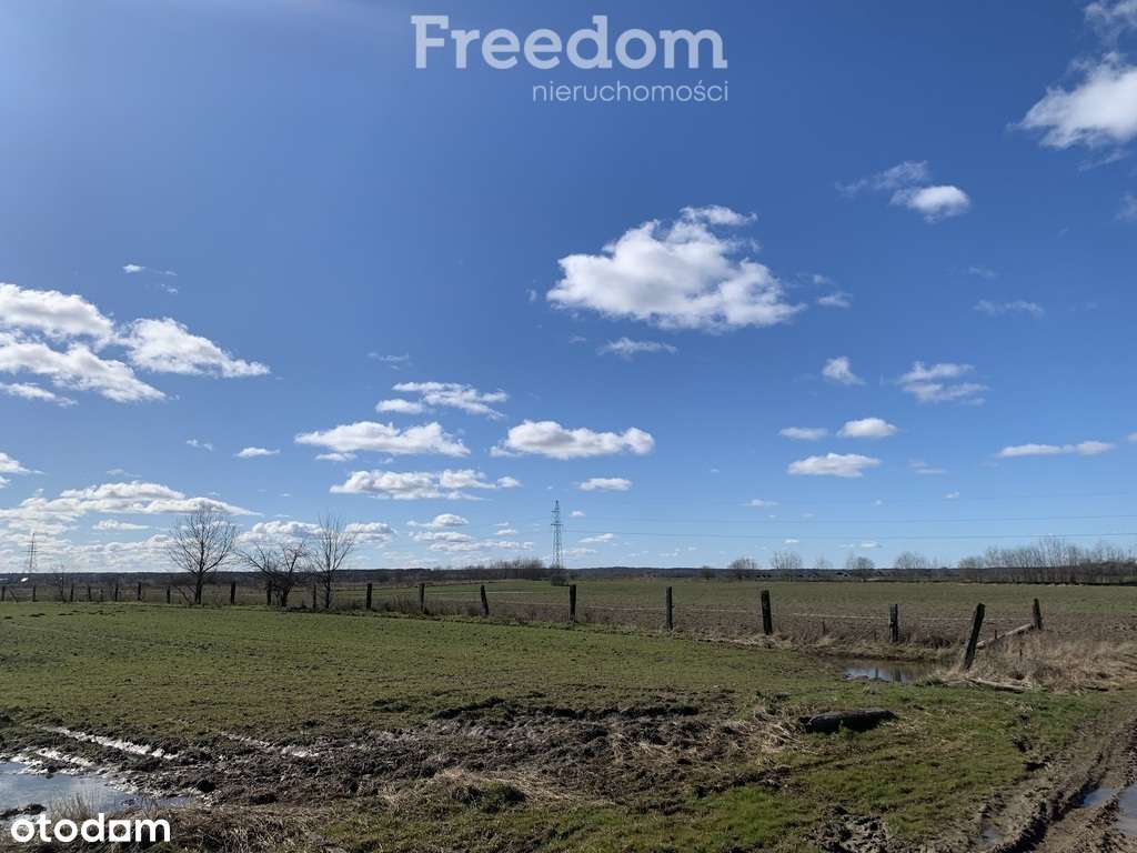 Działka inwestycyjna Wołczkowo, 2074 m², WZ - Pełny obrazek: 5/5