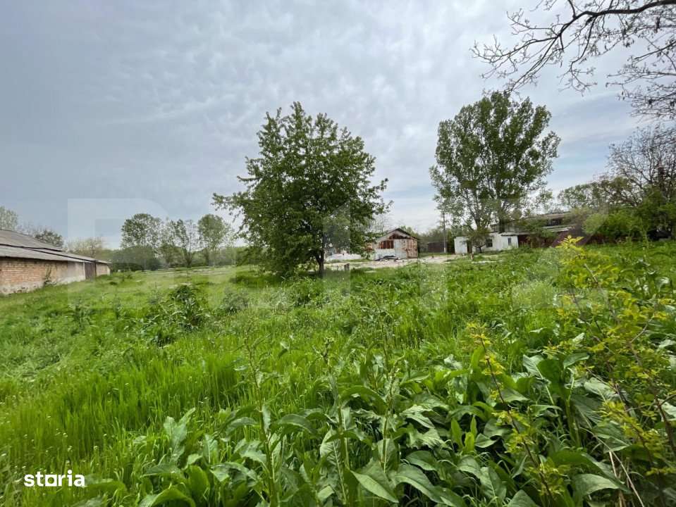 Oportunitate! Teren intravilan 3 hectare, Bals - Imagine principală: 4/5