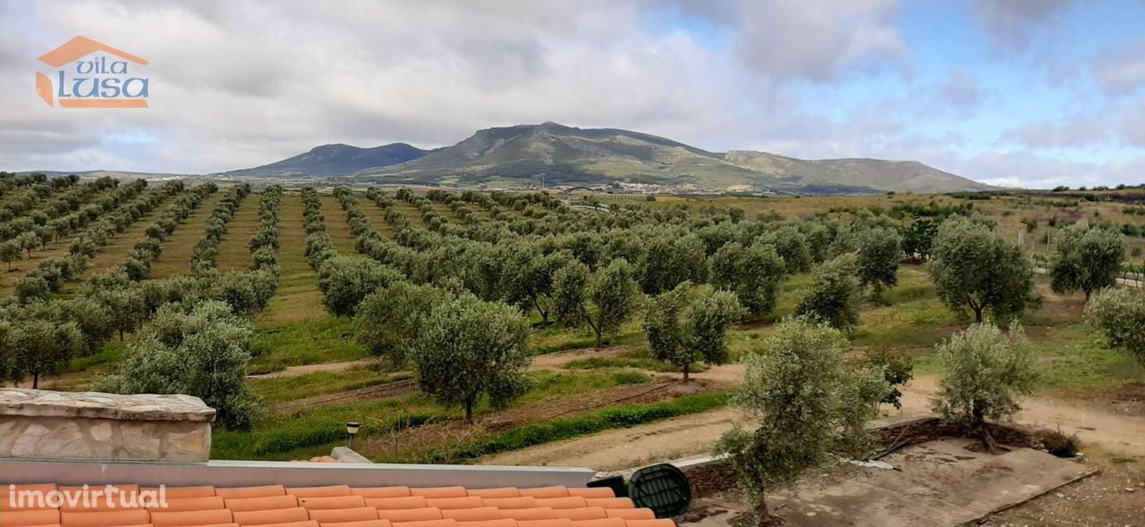 Quinta Mirandela com 12 hectares próxima do Rio Tua