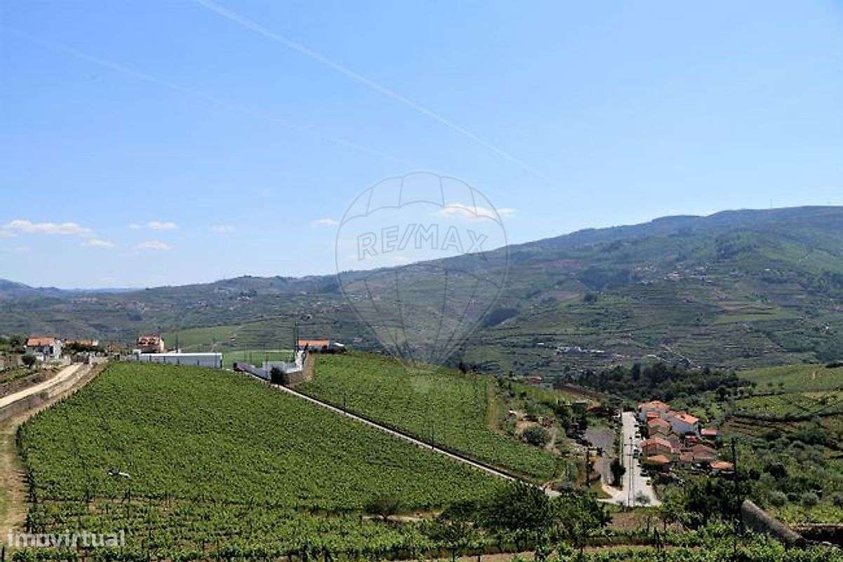 Quinta T4 para venda - Grande imagem: 5/29