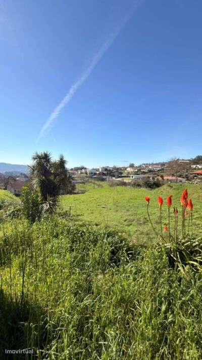 Moradia para restauro em Tebosa - Grande imagem: 2/4