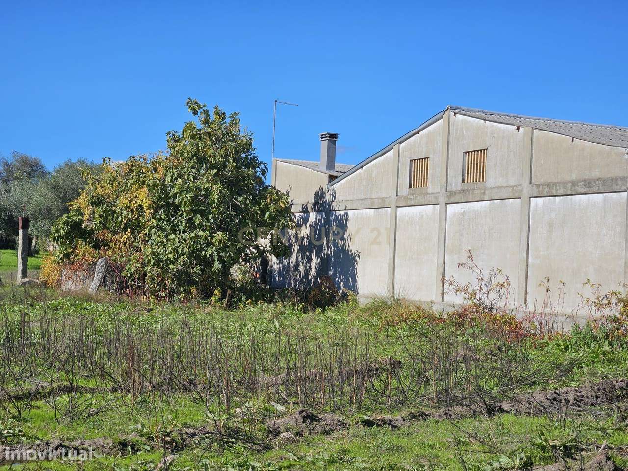 Terreno Rústico em Alcains: Vista Panorâmica e Excelente Localização - Grande imagem: 2/12