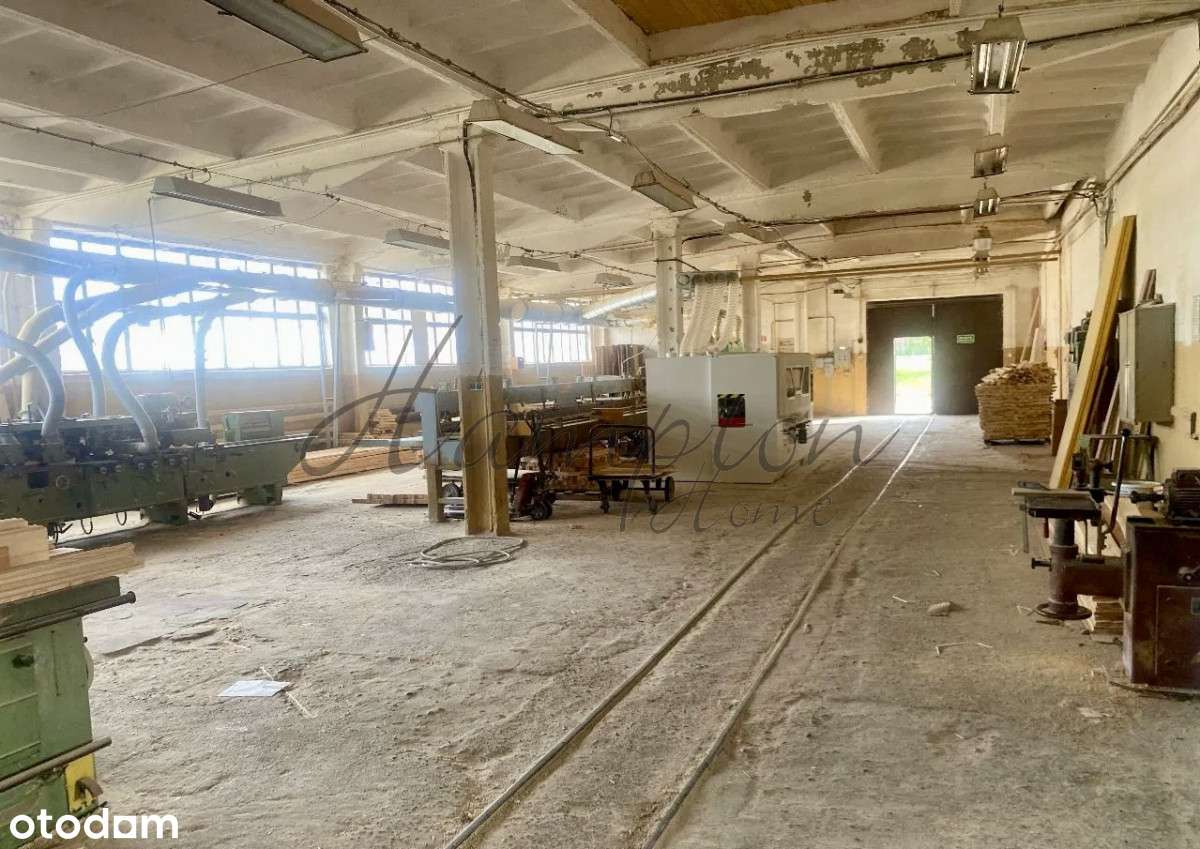 Hale z magazynami, linią produkcyjną-9