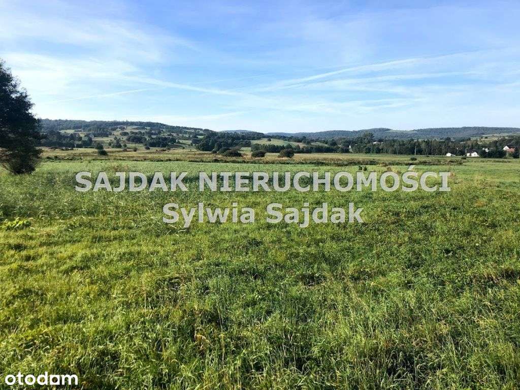 Widokowa działka 1700 m2 - Pełny obrazek: 4/7