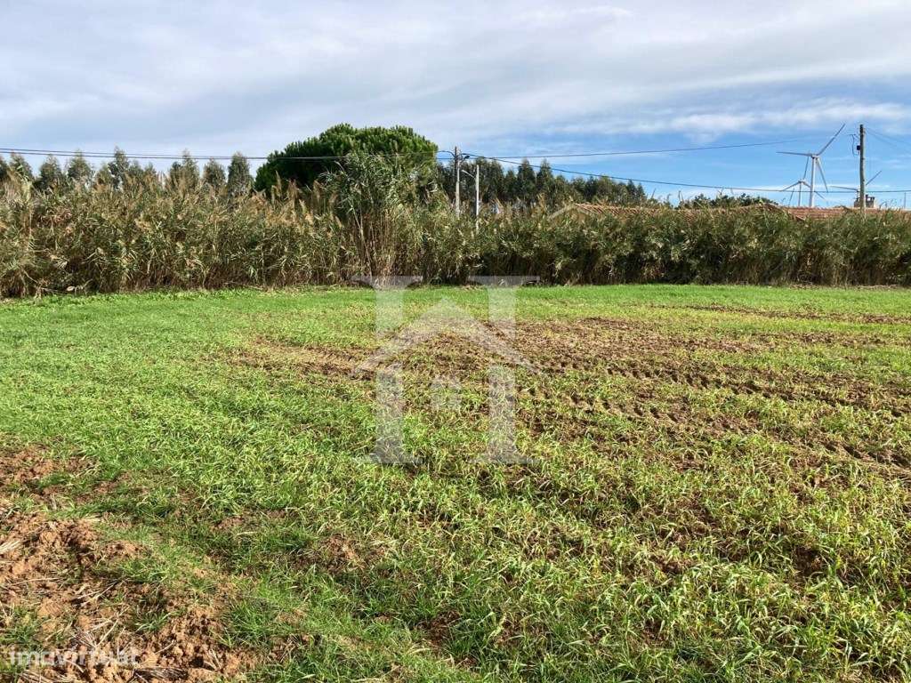 Terreno Rústico em São Bartolomeu dos Galegos, Lourinhã - Grande imagem: 5/19