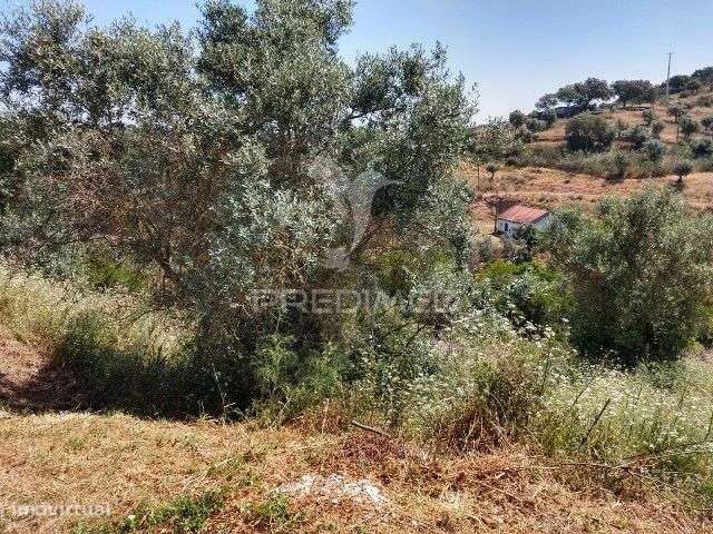 TERRENO PARA CONSTRUÇÃO- AVIS - Grande imagem: 5/7