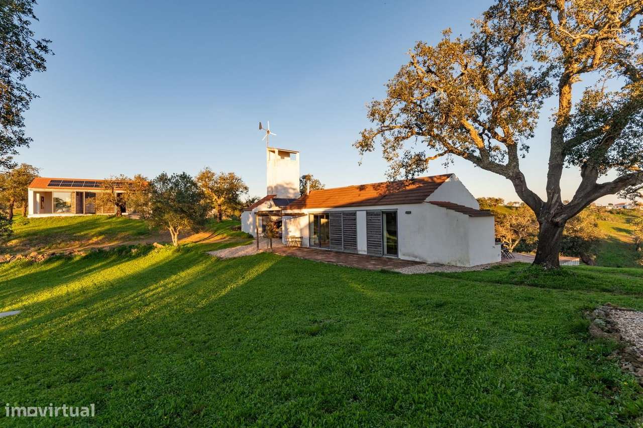 Quinta 6.9 ha, São Francisco da Serra, Santiago do Cacem - Grande imagem: 4/50