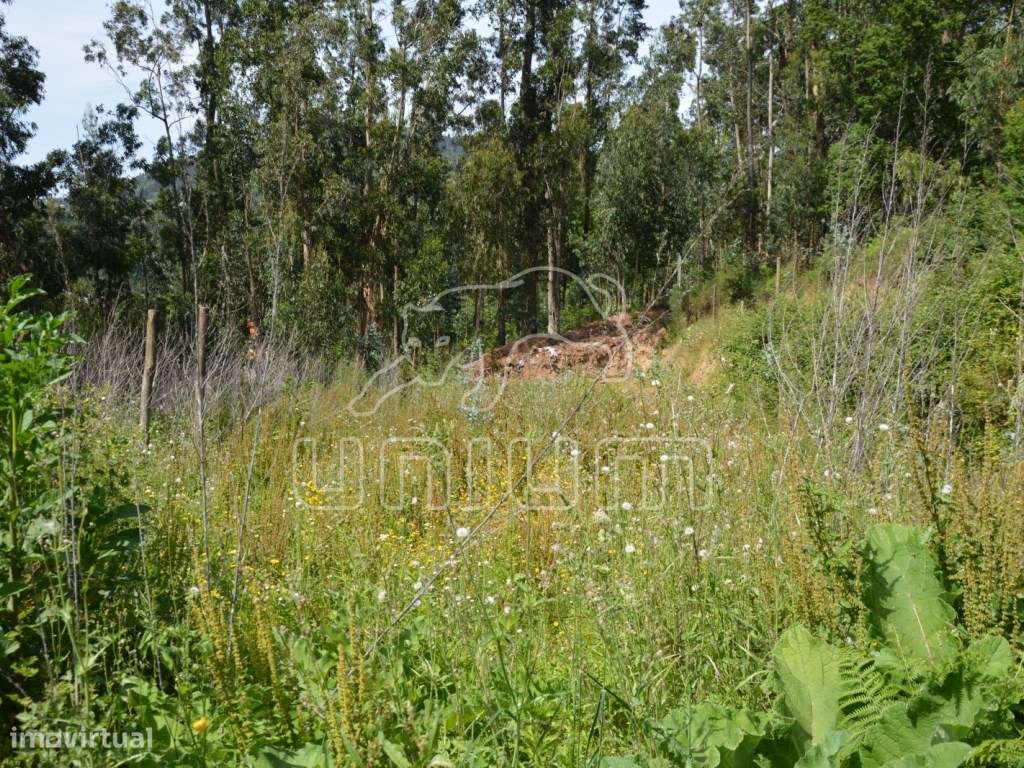 Terreno em Vila Verde - Grande imagem: 3/6