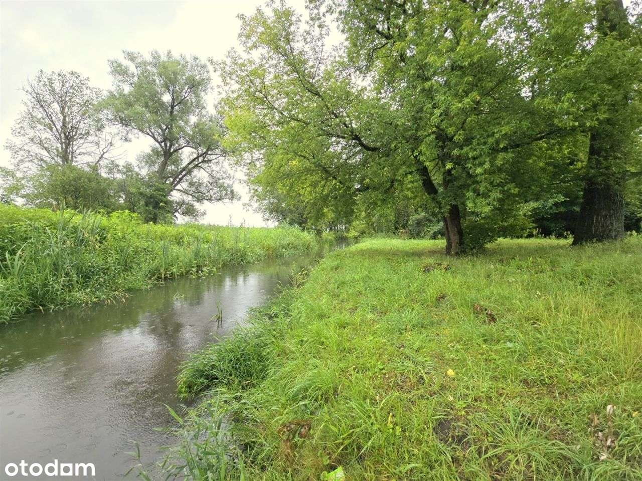 Urokliwa okolica leśny klimat super dojazd Warszwa-5