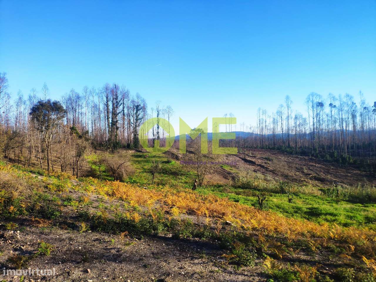 Terreno para construção com projeto aprovado - Grande imagem: 4/11