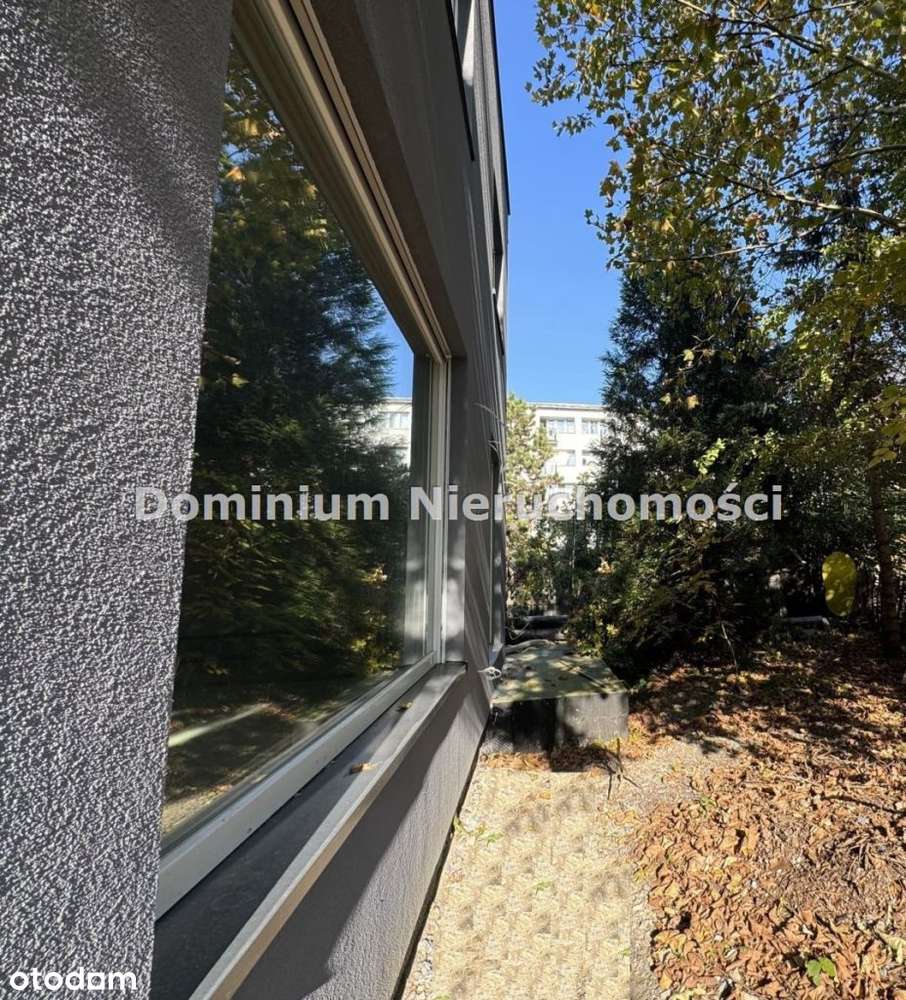 Grabiczyn bez prowizji od kupującego - Pełny obrazek: 5/8