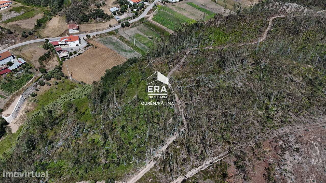Terreno Florestal em Matas, Ourém-6