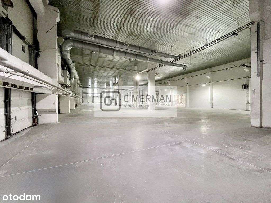 Hala magazynowo produkcyjna 4200 m2 lub 2000 m2 - Pełny obrazek: 4/17