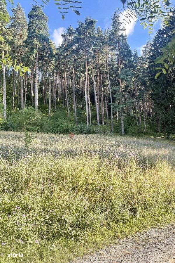 Teren zona Livezii - Imagine principală: 5/9