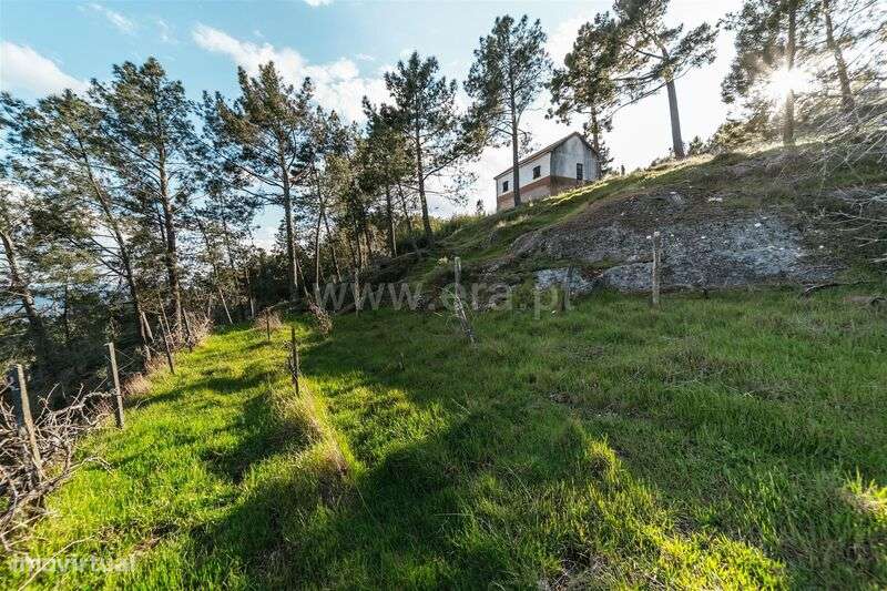 Quinta T3 / Covilhã, Cantar - Galo - Grande imagem: 1/20