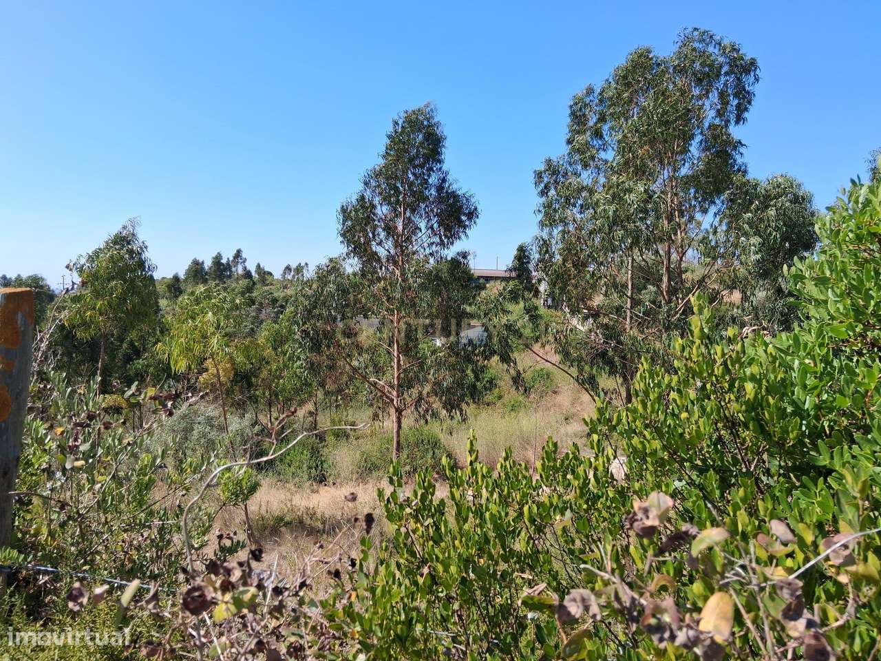 Terreno agrícola - Grande imagem: 3/5