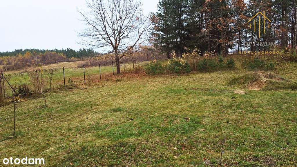 Działka 1780 m² w Gutkowie z warunkami zabudowy - Pełny obrazek: 5/9