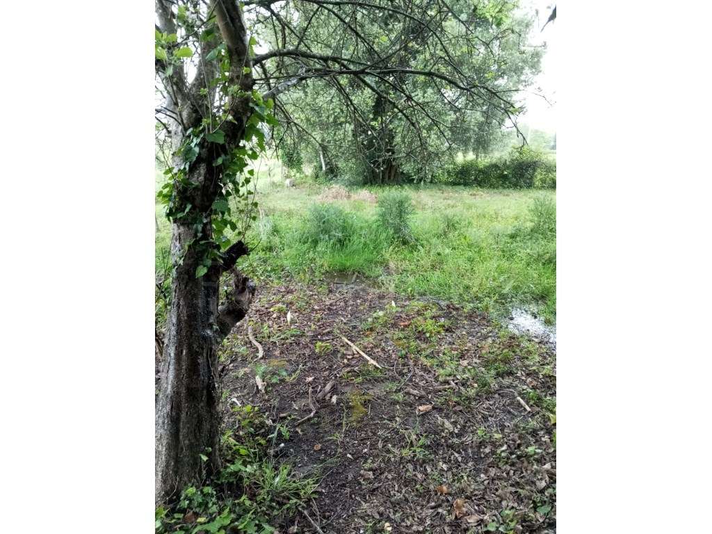 Moradia T4 em Bela, Monção - Grande imagem: 5/24