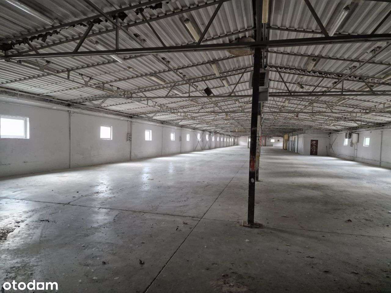 Obiekt przemysłowy , magazyn - hala 2458m2 + biura - Pełny obrazek: 4/20