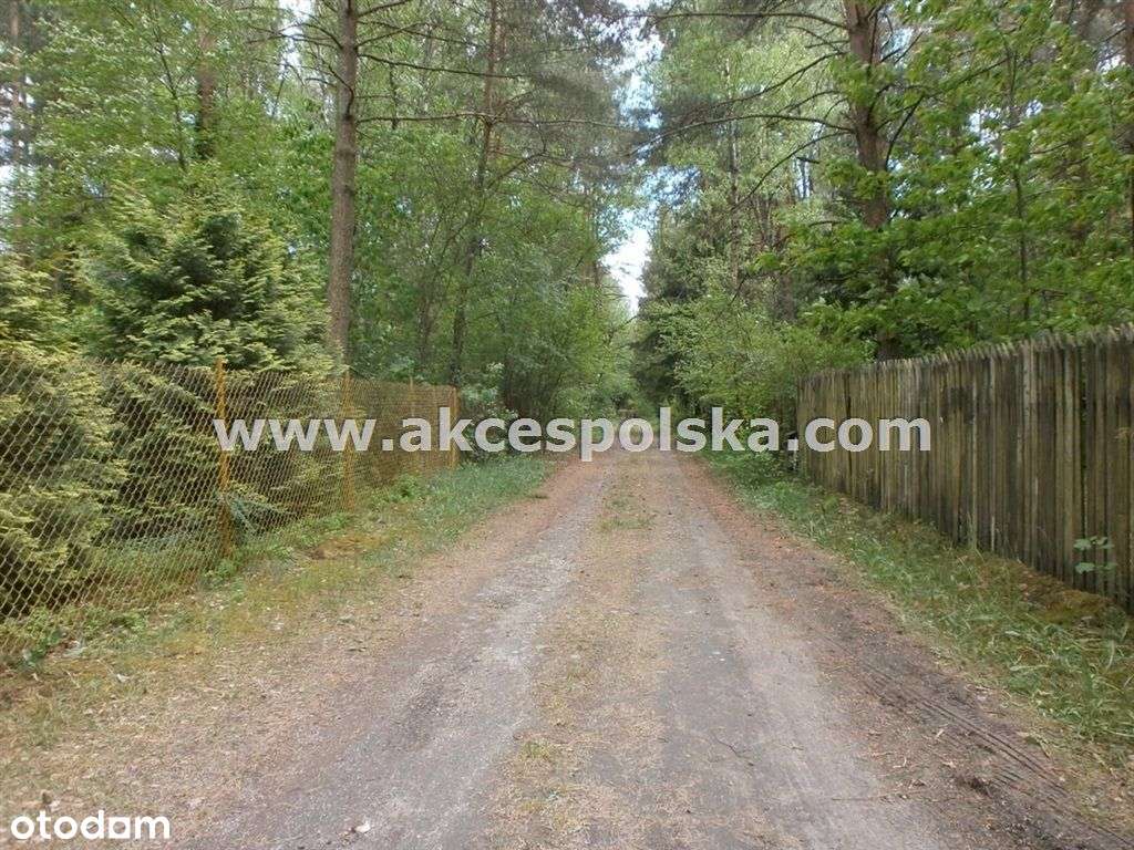 działka z aktualną Wz i starodrzewem-9