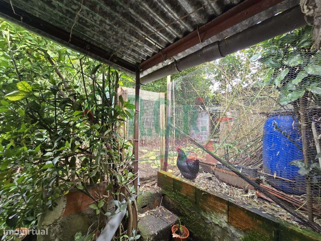 INVESTIMENTO - T5 Entrada Independente | Garagem | Peq. Quintal | C...-39