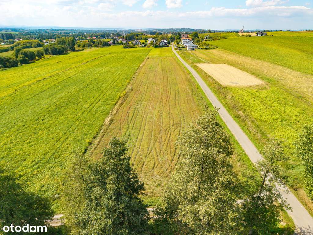 działki budowlane Korczyna - Pełny obrazek: 5/12