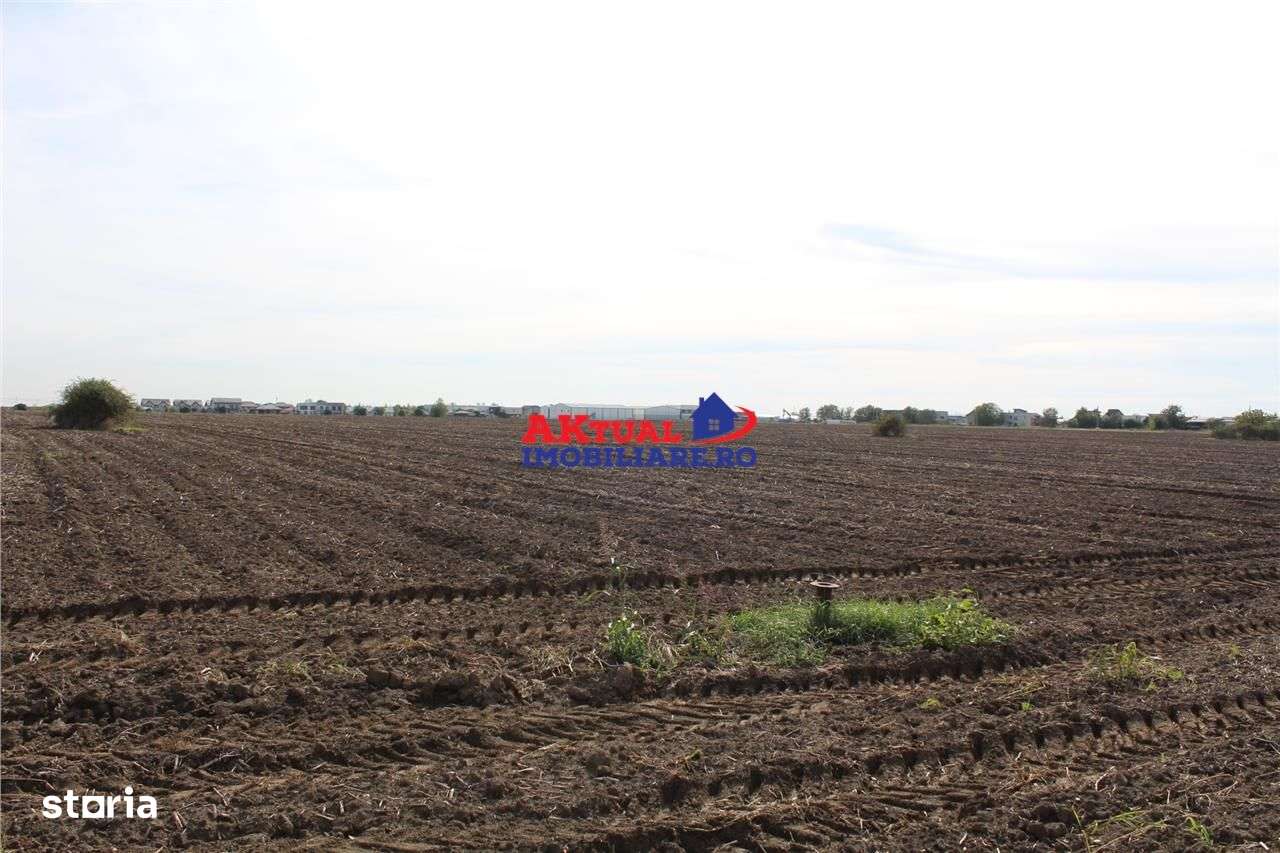 Teren de vanzare Balotesti -16.300mp-Stradal -Residentiale sau Comerci-0