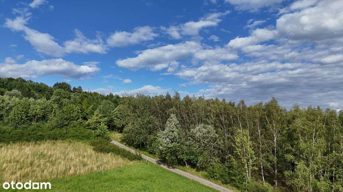 Urocza zielona działka z WZ | 37,56ar Odrzykoń - Pełny obrazek: 5/12