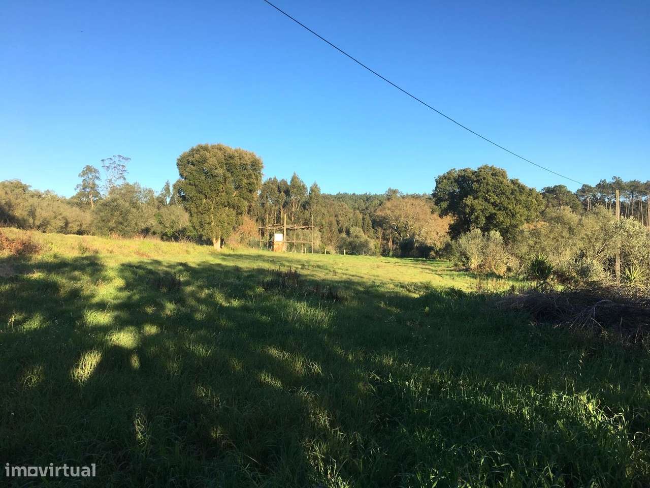 Terreno / Construção / Matoeira / Regueira de Pontes / Leiria - Grande imagem: 3/5