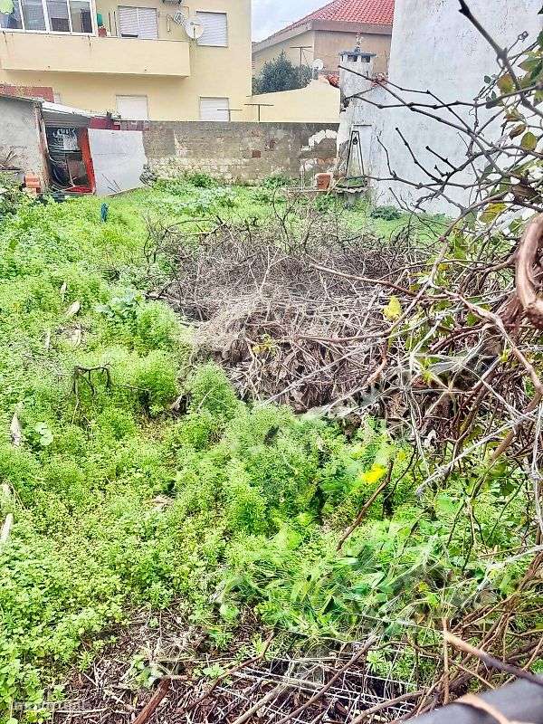 Terreno  para venda-5