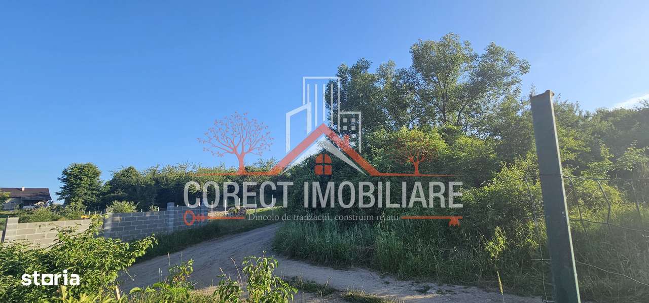 Teren extravilan 1300 mp - Imagine principală: 5/6