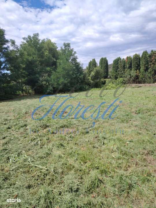 Casa 97 mp , 2200 mp teren, anexe com. Zimbor - Imagine principală: 5/5