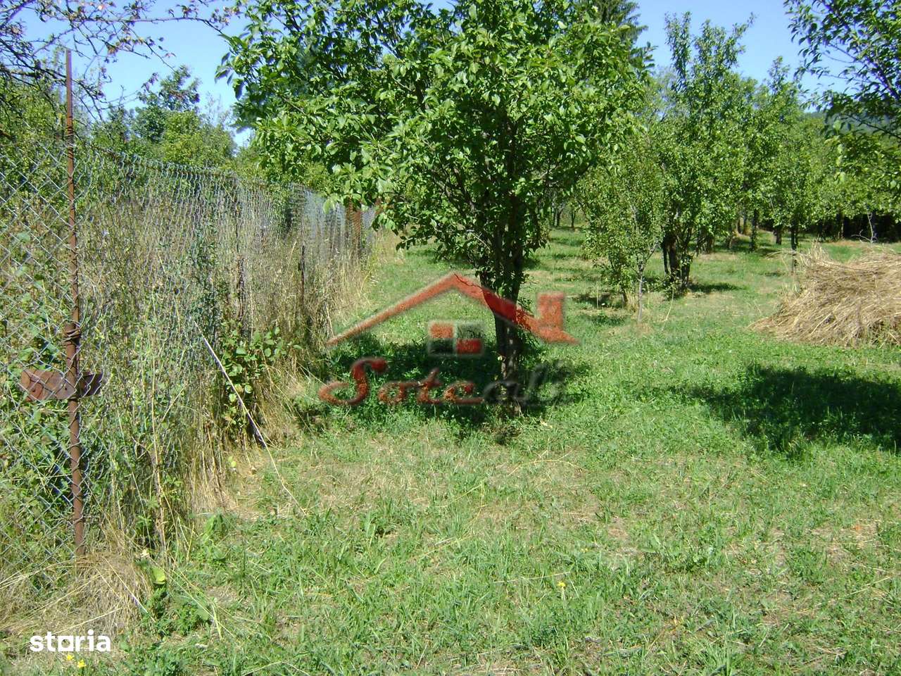 Teren  de vanzare Cornu 1919 mp-4