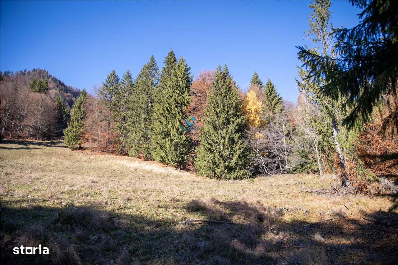 Teren de Vis langa Siriu  – 20000 mp ideal pentru Complex turistic Com-12