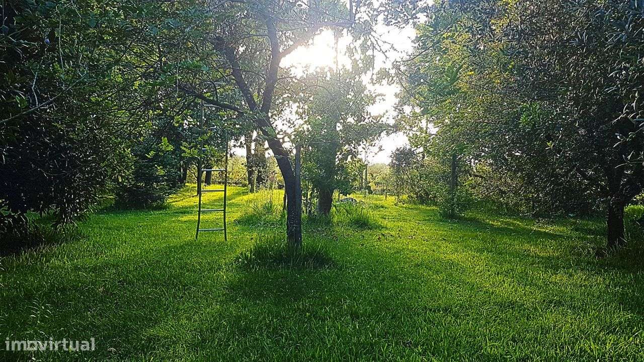 Moradia T5 perto de Coimbra-33