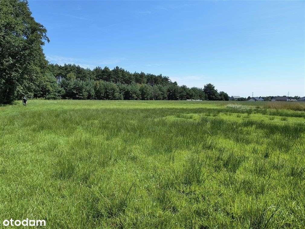 Działka/przemysł na sprzedaż - Pełny obrazek: 4/10