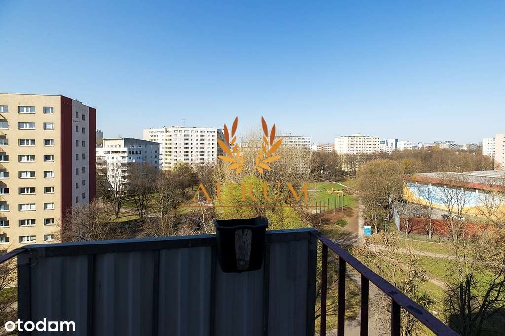 2 nieprzechodnie pokoje_widok na korony drzew-6