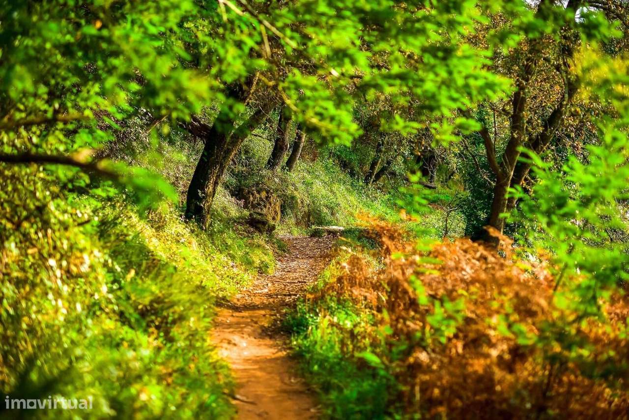 Terreno 1879 m2, Belas Clube de Campo, Sintra - Grande imagem: 2/16
