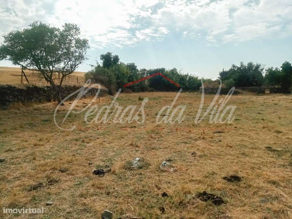 Propriédade de 119ha com varias ruinas - Castro Verde-25